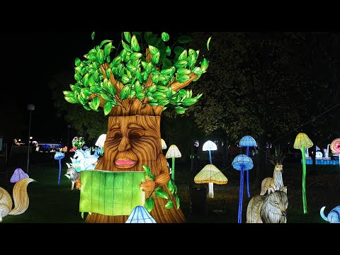 Winter Wonderland. Světelný park Praha Letňany 2025