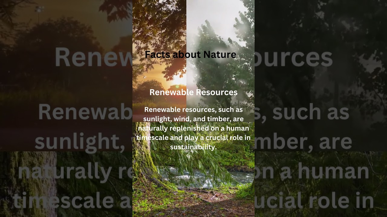 Renewable Resources: Nature's Sustainable Power π±