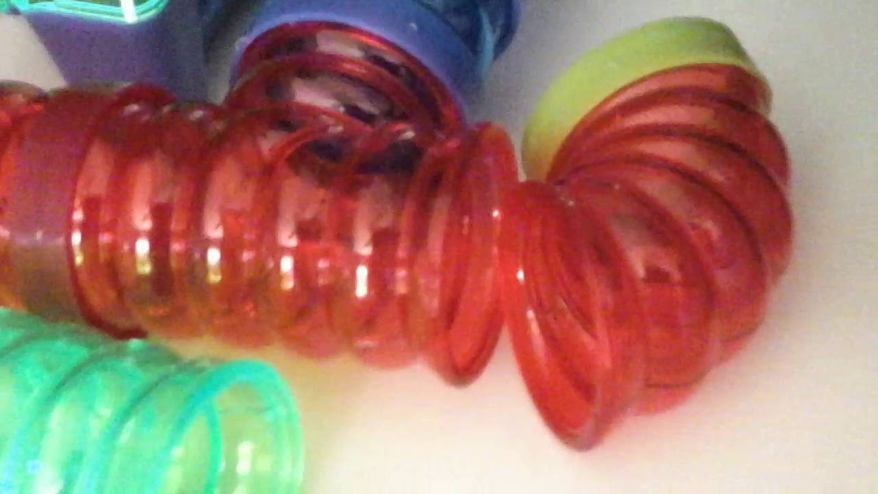 Hamizilla is Adorably Cute! π₯°