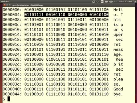 Symmetric Key Encryption and Brute Forece (ITS335, L3, Y14)
