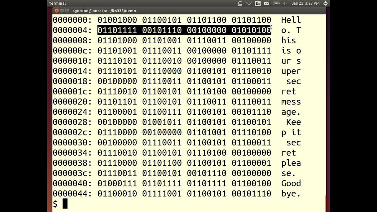 Symmetric Key Encryption and Brute Force Attacks (ITS335, L3, Y14)