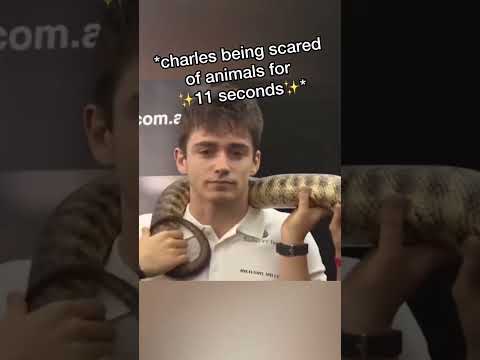 Charles Leclerc being✨iconic✨for 1 minute and 34 seconds🤣🤣🤣#f1 #formula1 #funny #fyp #trynottolaugh