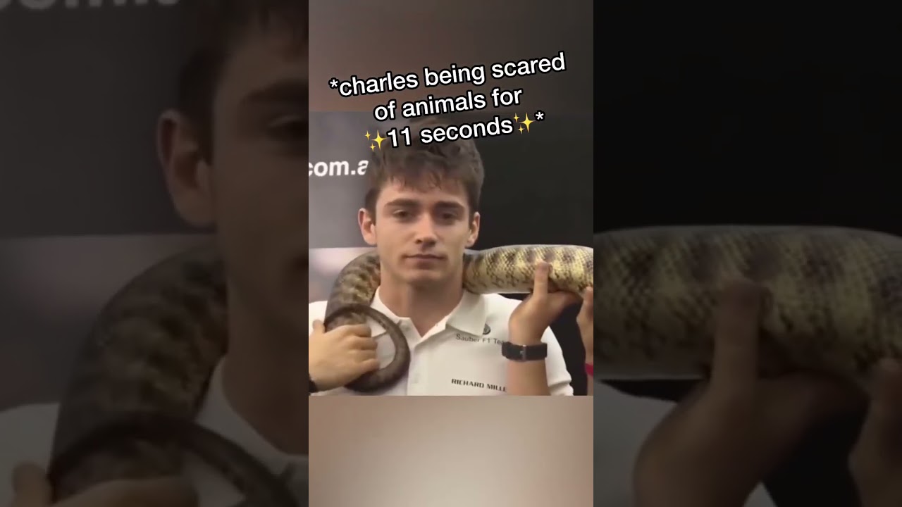 Charles Leclerc's Hilarious 1-Minute Moment 😂 | F1 Funny Moments