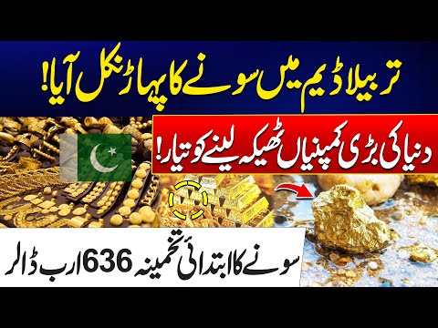 Massive Gold Discovery At Tarbela Dam - Global Companies Rush for Contracts - Exclusive Report