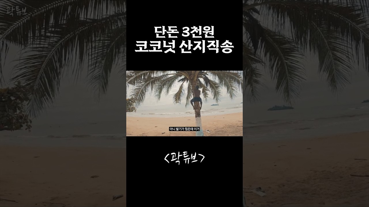 3천원에 맛보는 신선한 코코넛 🍹 | 곽튜브 여행 브이로그