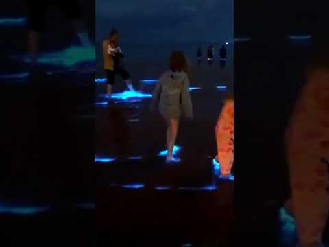 Bioluminescent Bay Puerto Rico Mosquito Bay #BioBay #PuertoRico #Travel