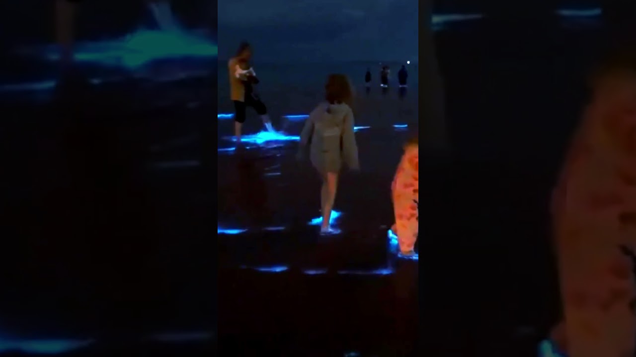 Discover the Magic of Mosquito Bay: Puerto Rico’s Bioluminescent Wonder ✨