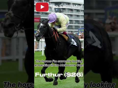 Melbourne Cup 2025 - The horses I’m currently looking at backing in the race that stops the nation!
