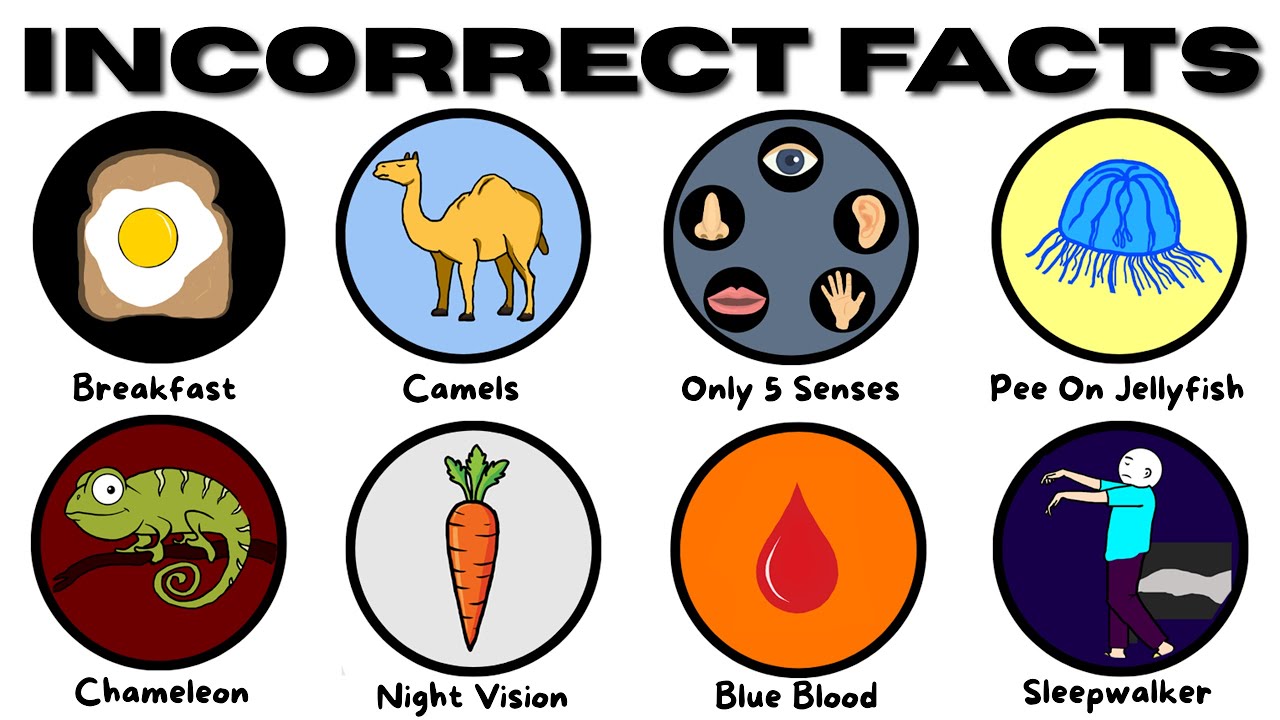 Common Myths That Are Totally Wrong ❌