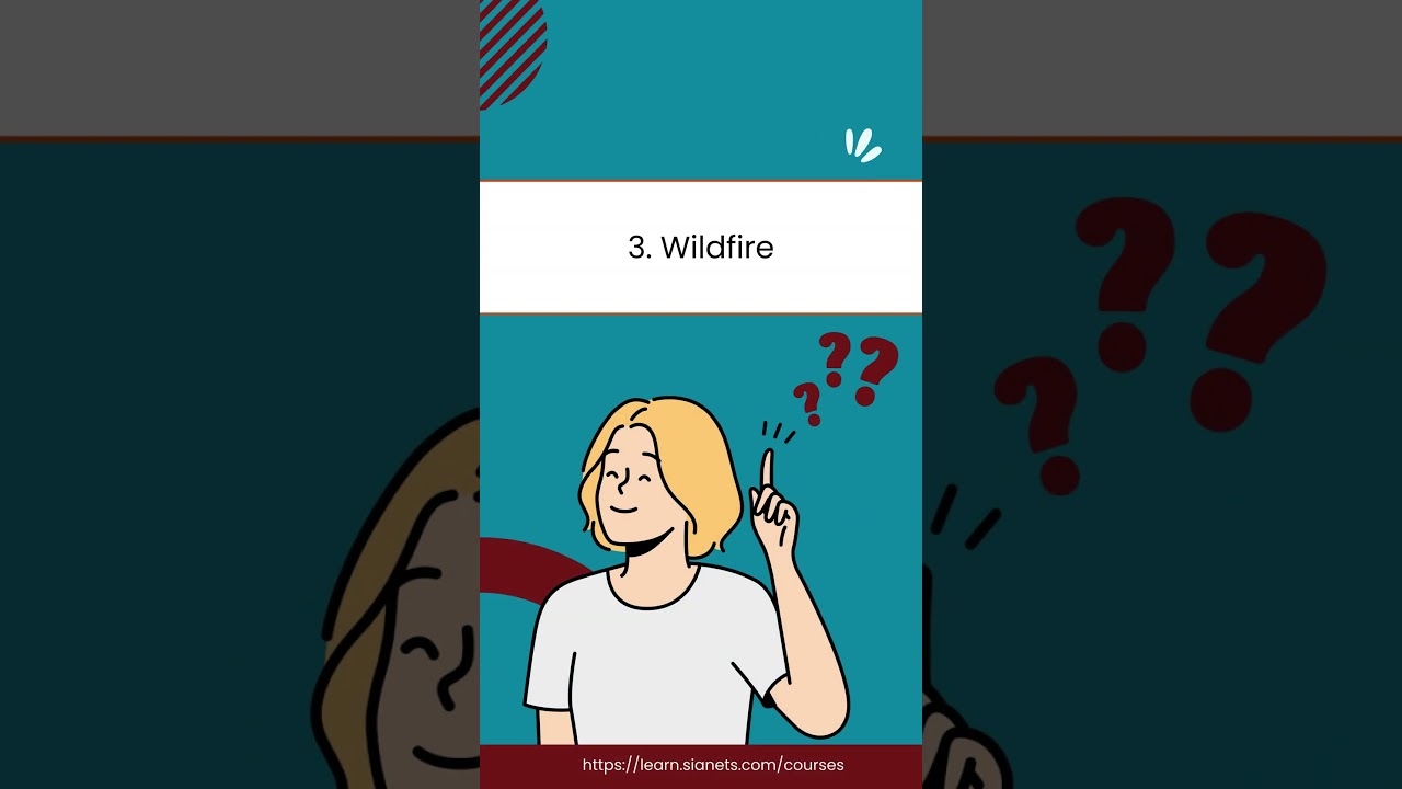 Recently Asked Questions in Palo Alto Firewall Interview | SIANETS