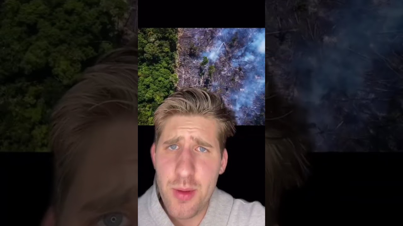 EVENTS THAT WILL HAPPEN BEFORE THE YEAR 2050!