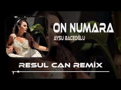 Aysu Baceoğlu - içeri girerken dikkat et bak kapıda yazıyor 10 numara ( Resul Can Remix )