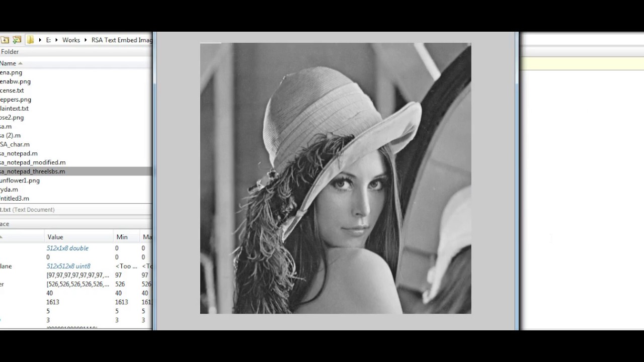 Image Encryption and Data Embedding in MATLAB