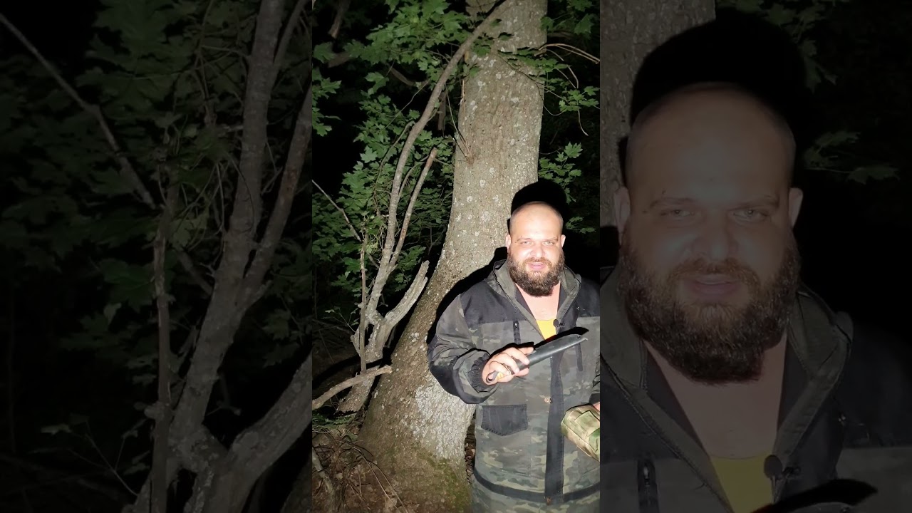 Советы по выживанию в ночном лесу