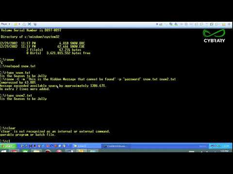Penetration Testing Module 5 Part 9 System Hacking snow Lab