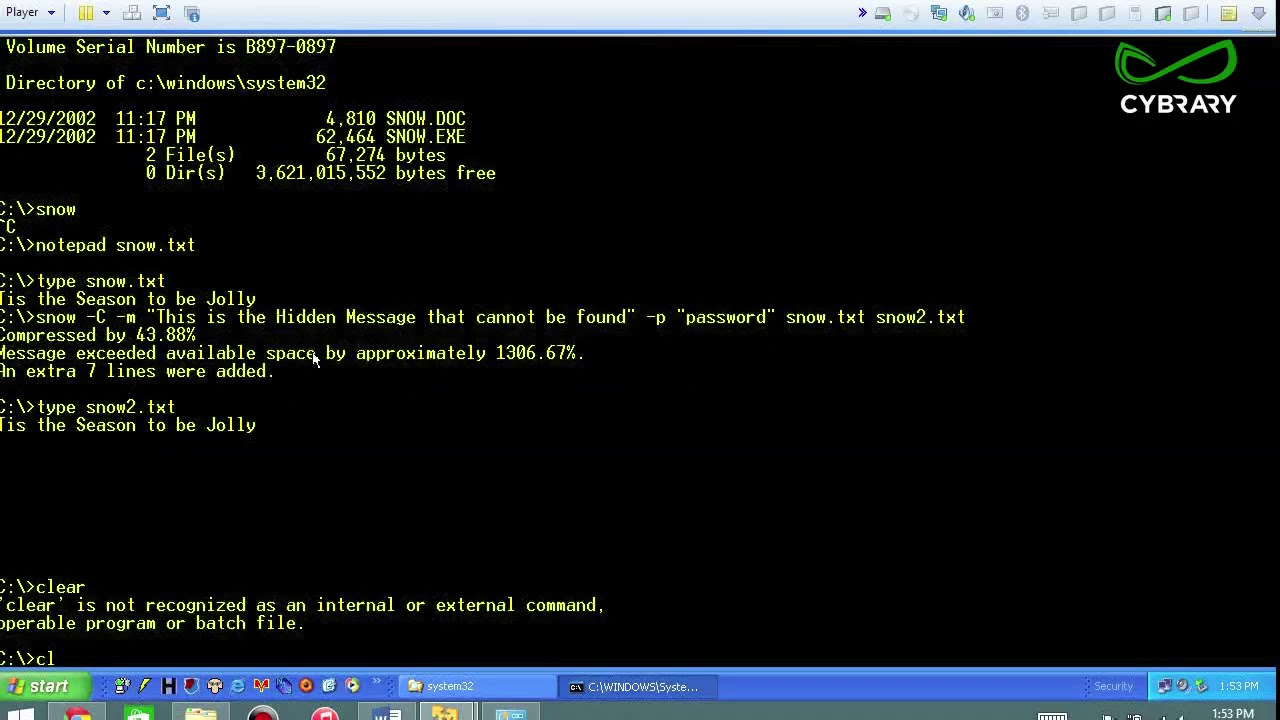 Penetration Testing Module 5 Part 9   System Hacking snow Lab