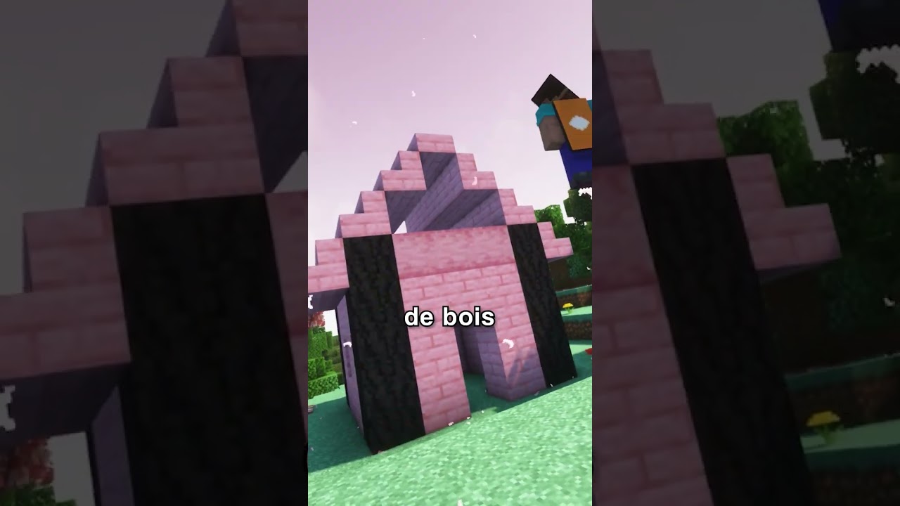 Un nouveau BIOME sur Minecraft ?! #shorts