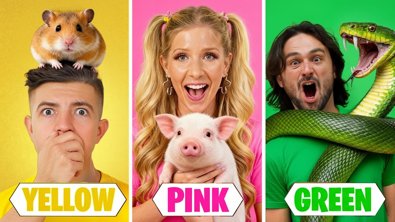 Adopting Animals of One Color! 🐾