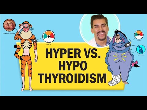 Hyperthyroidism vs Hypothyroidism: Key Differences & Tips