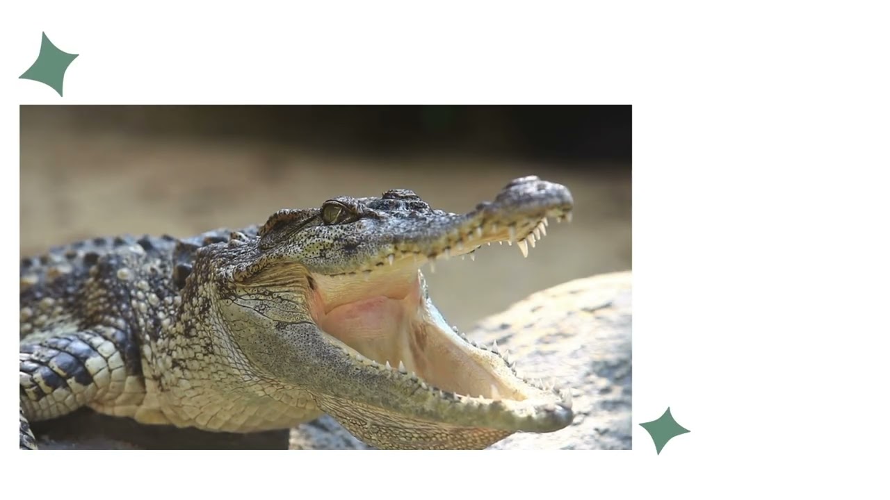 Entenda os Símbolos Matemáticos: Igual, Diferente, Maior e Menor 🧮