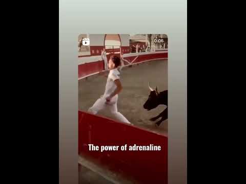 The hormone adrenaline gives you a temporary boost of strength.