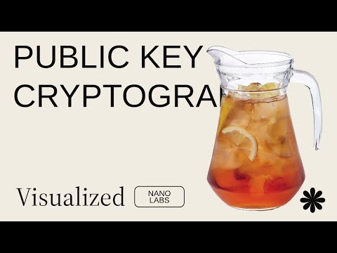 Public Key Cryptography VISUALIZED | Nano Labs 🧪