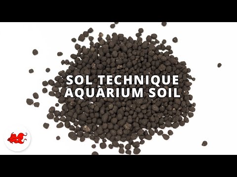 Sol technique pour aquarium - Guide complet
