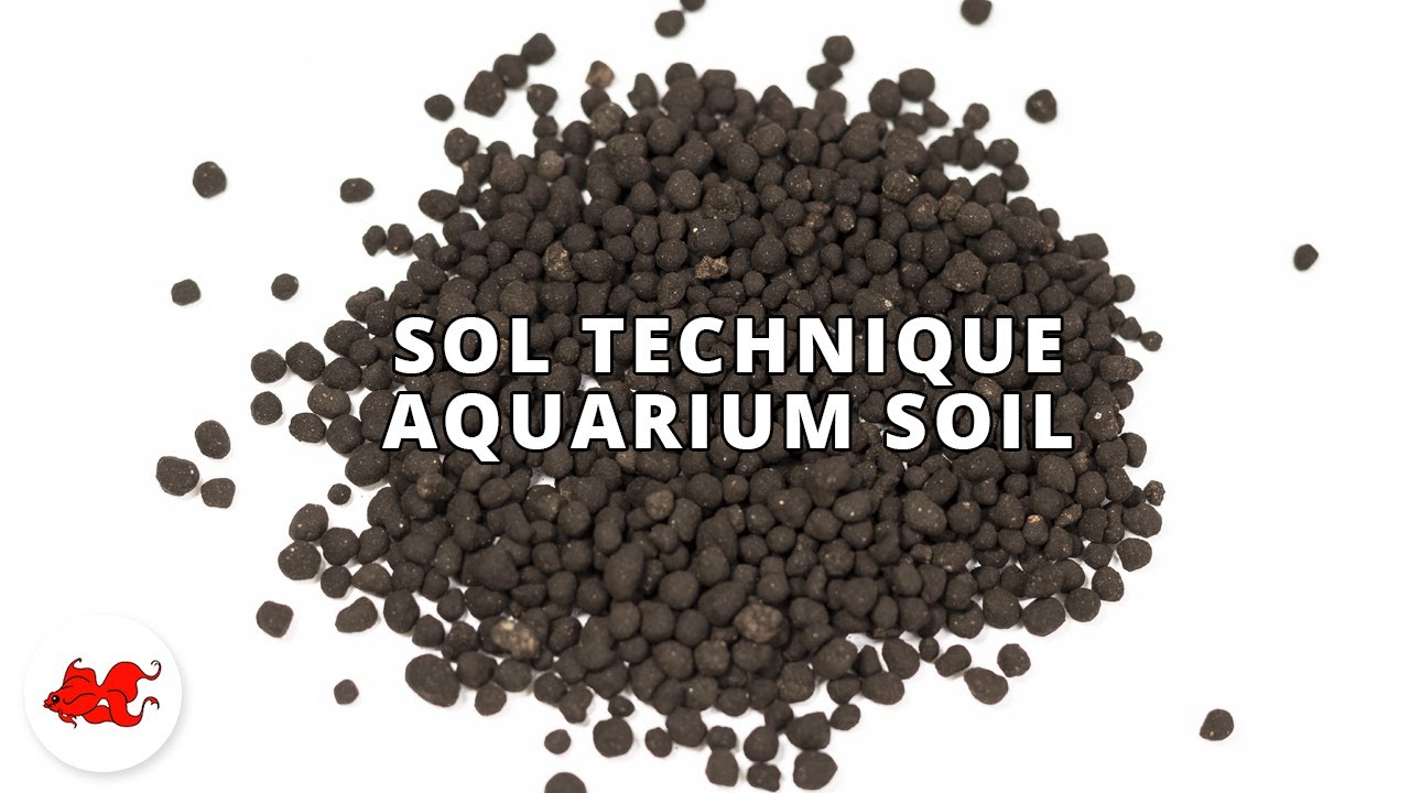 Guide complet du sol technique pour aquarium 🌿