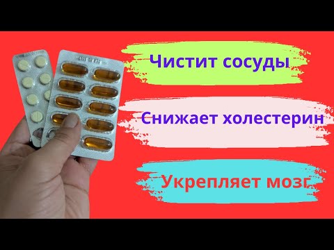 Чистые сосуды и память: аптечные средства 💊
