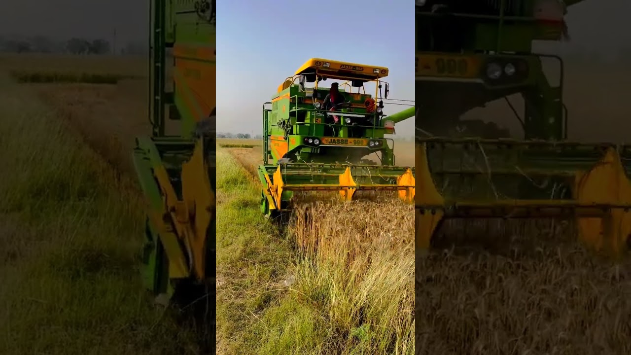 🌾 Viral Punjabi Song Shorts: Tips to Make Your Videos Go Viral on YouTube!