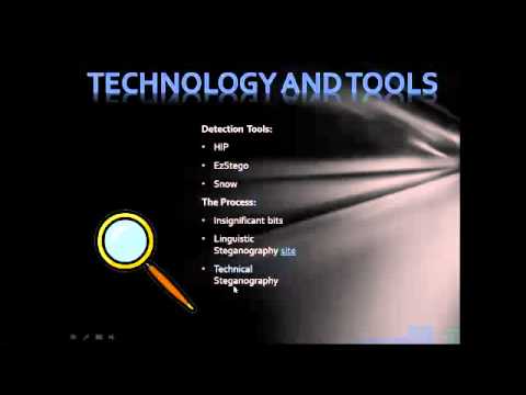 Steganography Detection