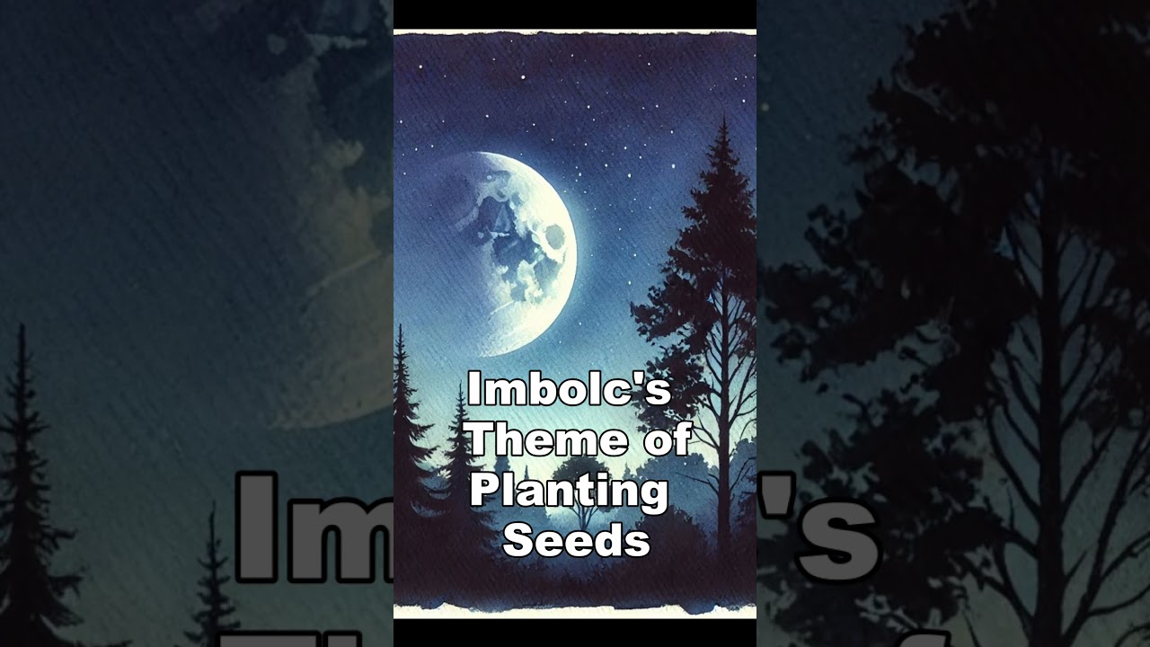 First Quarter Moon in Imbolc: Time for Growth ✨