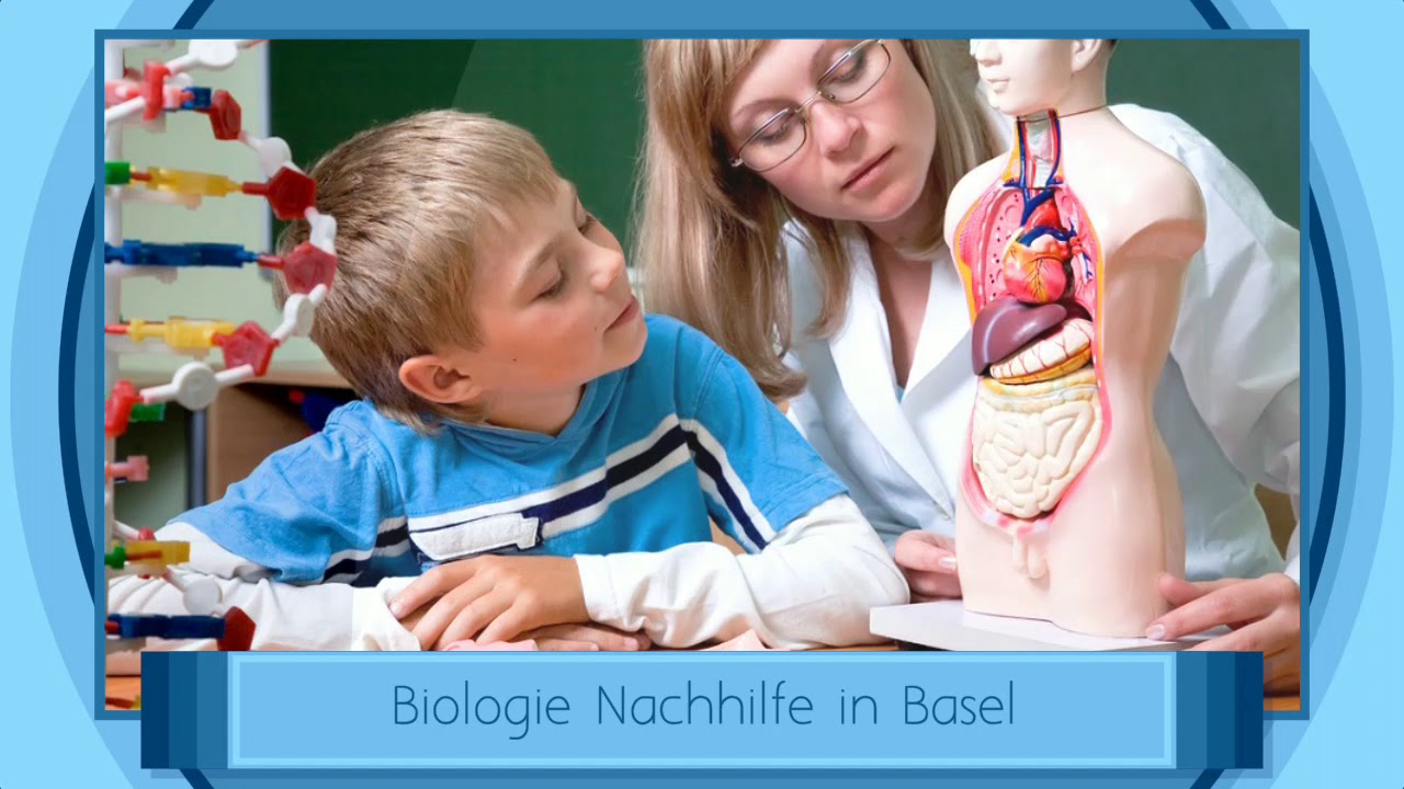 Erfolgreiche MINT-Nachhilfe bei Tutor Akademie – Jetzt in Basel starten! 📚
