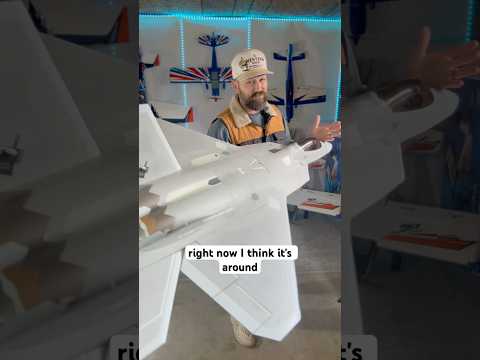 This is the Freewing F-22 raptor 90mm from @MotionRC. I love this RC jet! #rcplane #rcjets