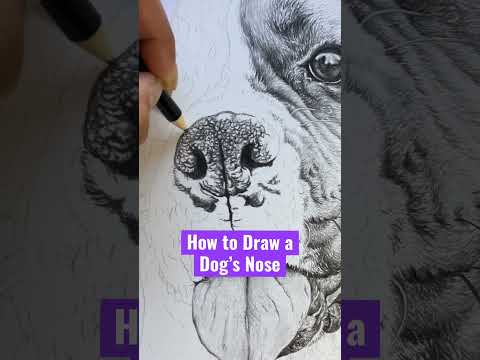 How to Draw a Dog’s Nose #shorts #shortsvideo #howtodrawadog #shortsfeed