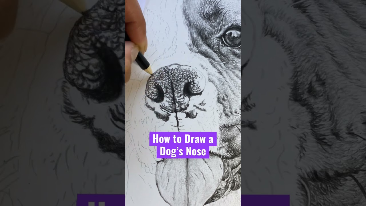 How to Draw a Dog’s Nose