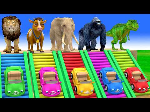 Long Slide Game with Cow Elephant Gorilla Hippopotamus Tiger 3d Animal Game Funny 3d Animals