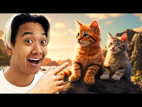 CAT ISLAND YOU MUST VISIT!🐱- Cat Island Istanbul