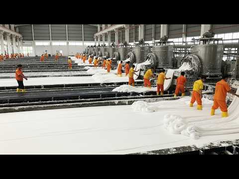 La Fabrication du Caoutchouc Naturel : l'Industrie aux 13 Millions de Tonnes