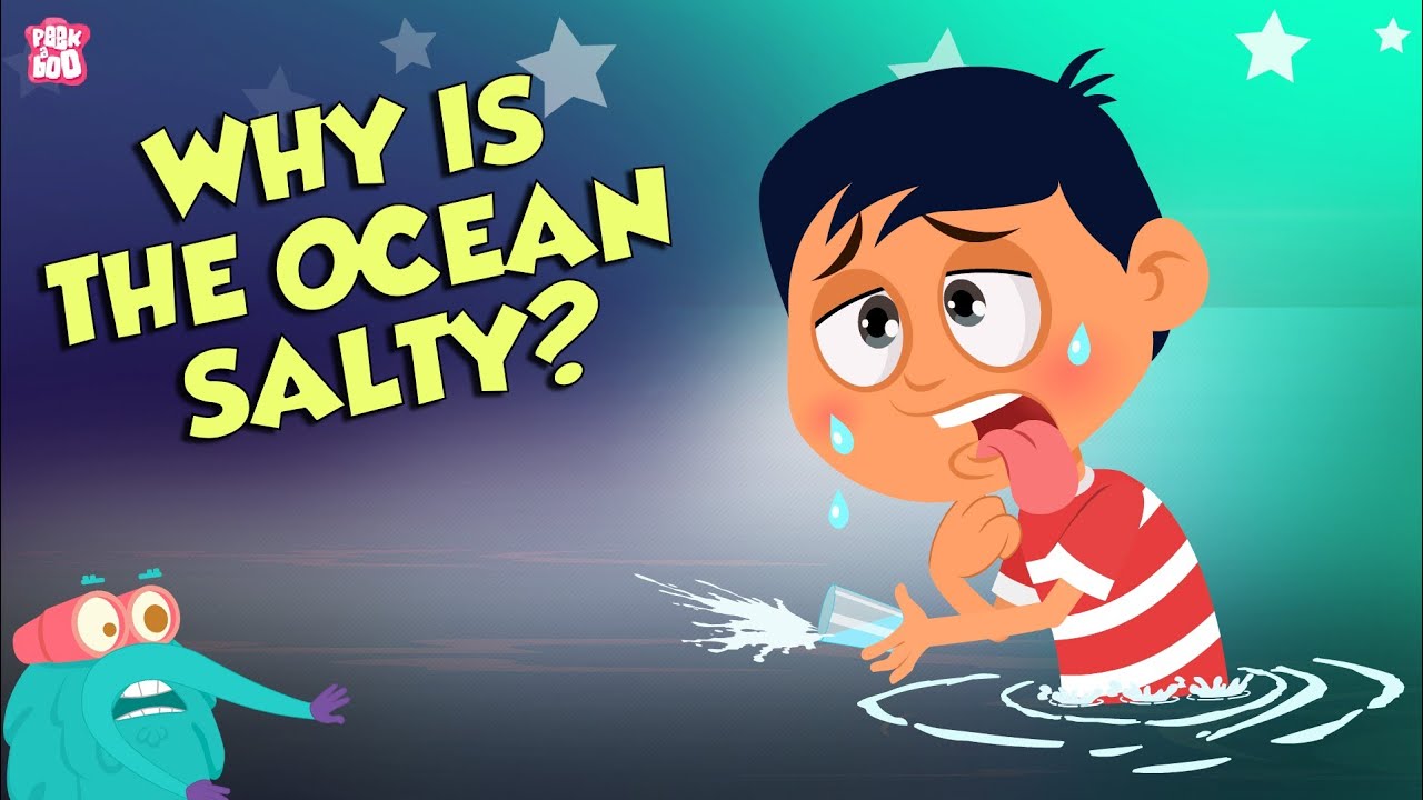 Why Is Ocean Water Salty? 🌊 | Dr Binocs Show