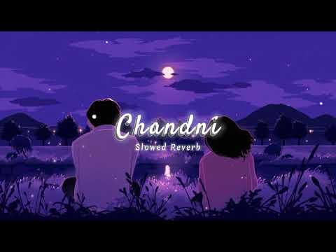 Chandni slowed reverb - Sachet Parampara #video #trendingvideo #viralvideo