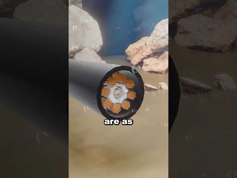 How The Internet Actually Works 😱