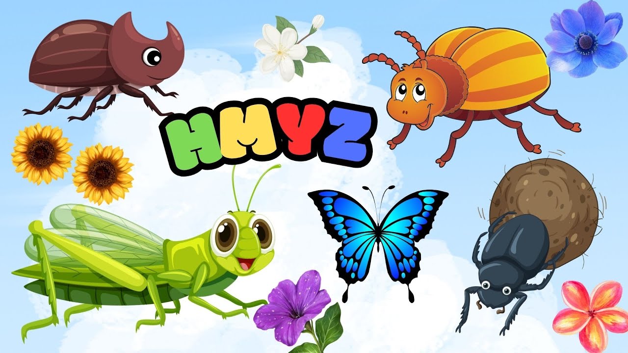 🦋 HMYZ - brouci, motýli a další | Zábavné vzdělávací video pro děti | Hádanky a brouci 🐜