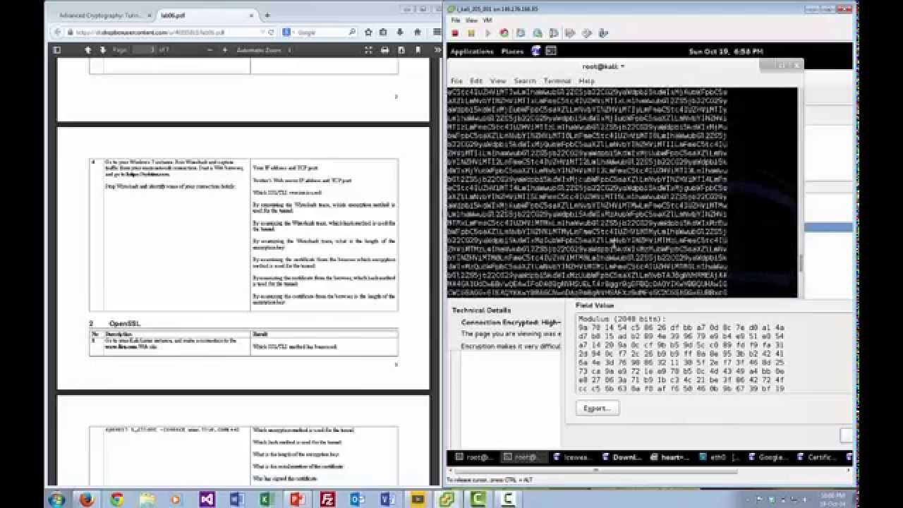 Advanced Cryptography: Lab 6 – Tunnels