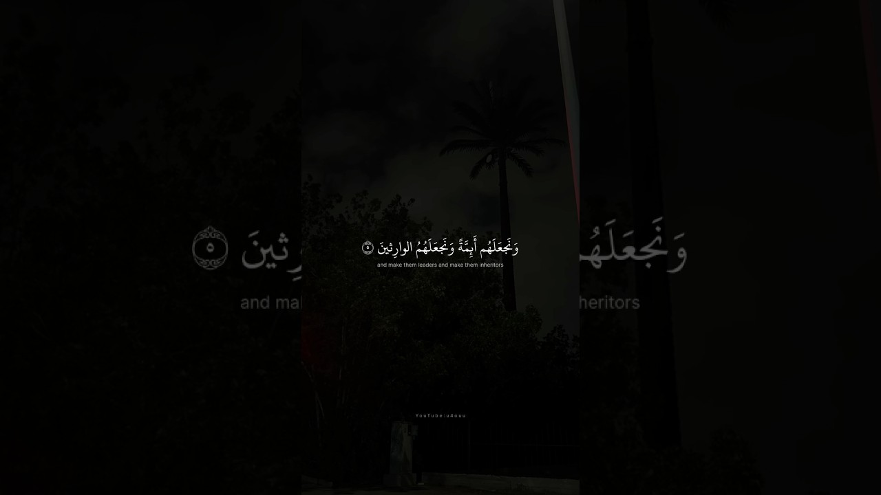 نُريد أن نمنَّ على المستضعفين في الأرض ✨