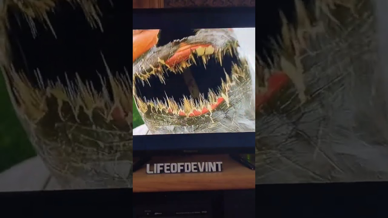 Stephen King Inspired Scene in IT Chapter 2 🎬