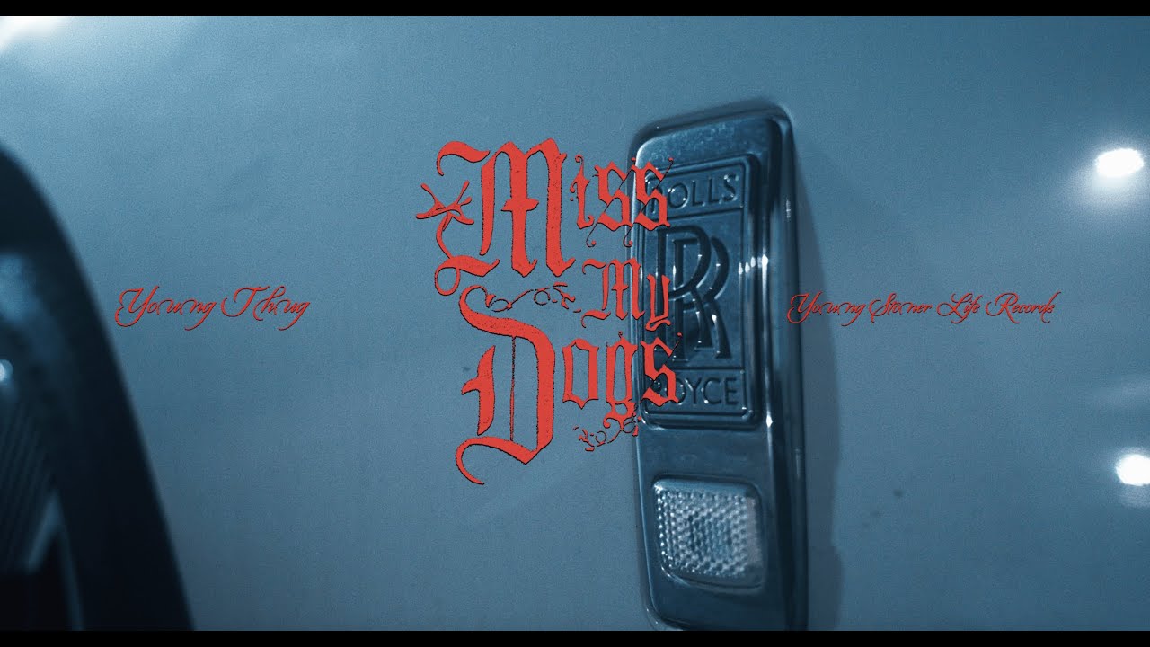 Young Thug - Miss My Dogs 🎶 Official Music Video | Out Now