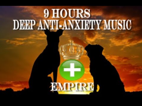 9-Hour Deep Relaxation for Dogs 🐶