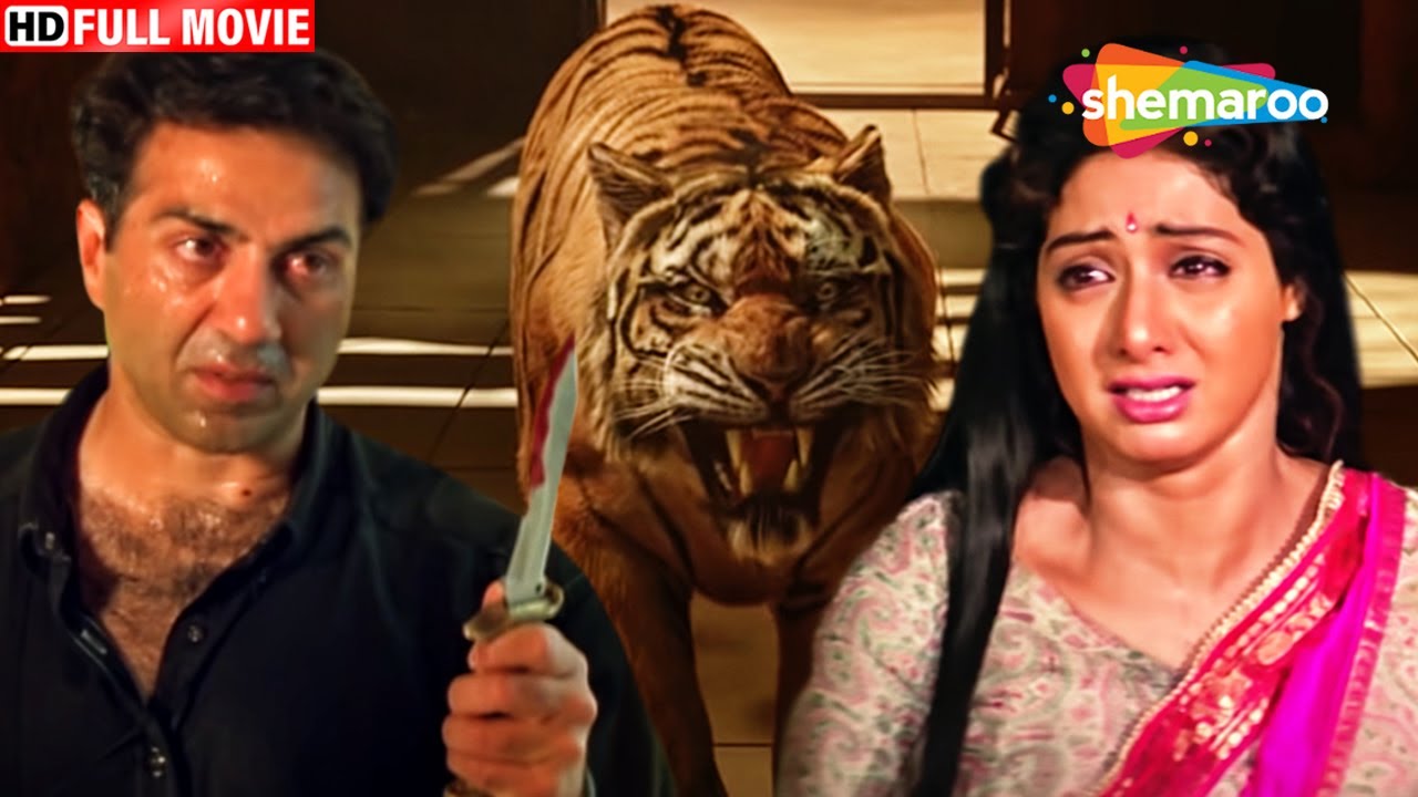 श्रीदेवी की दुखद मौत - बॉलीवुड ब्लॉकबस्टर 🎬