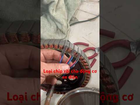 Chia sẻ loại chíp rời cho động cơ xe điện